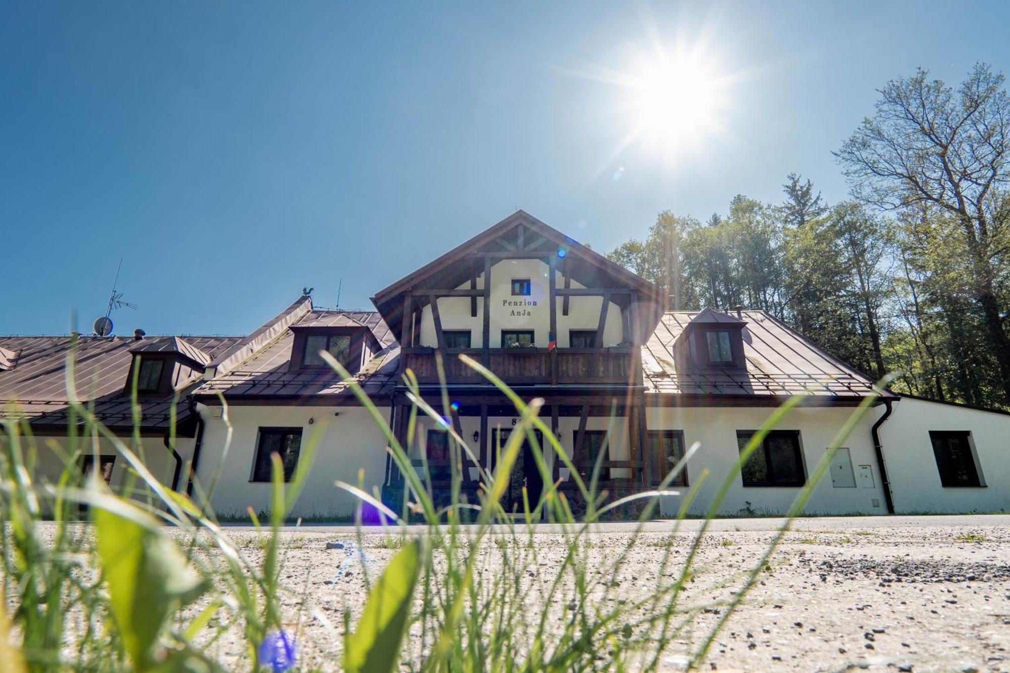 Pension Anja Andelska Hora  Bagian luar foto